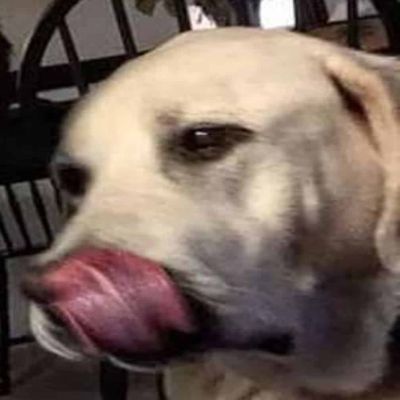 Chica is licking her nose in the picture.